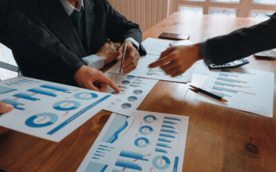 More Than Just an Accountant?